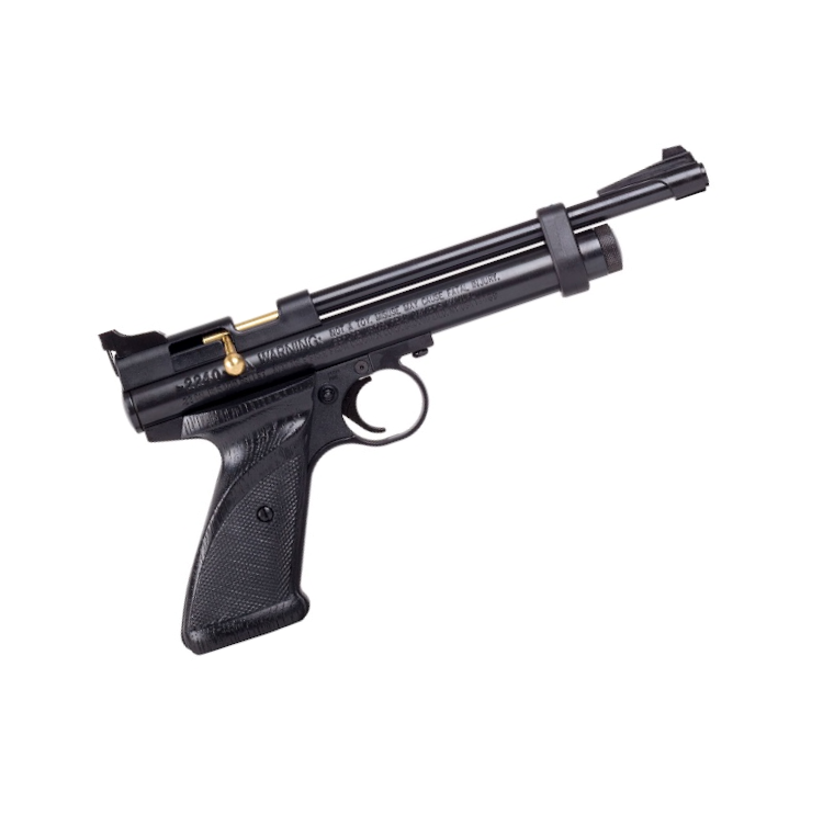 Crosman 2240 C02 .22 Air Pistol