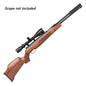 Weihrauch HW97K .22 Spring Airgun